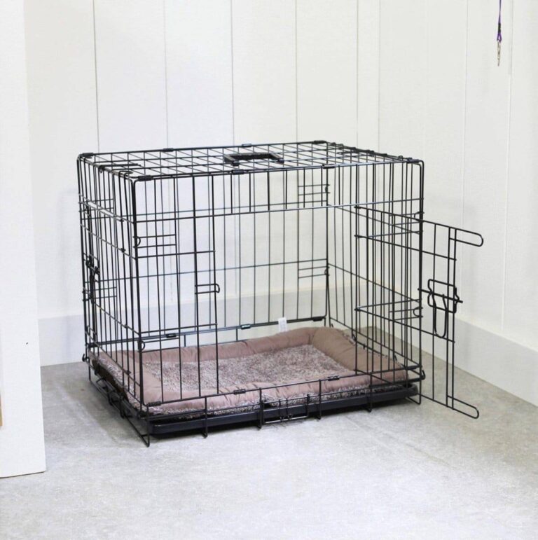 Metal wire dog crate with open door, cushioned mat inside.